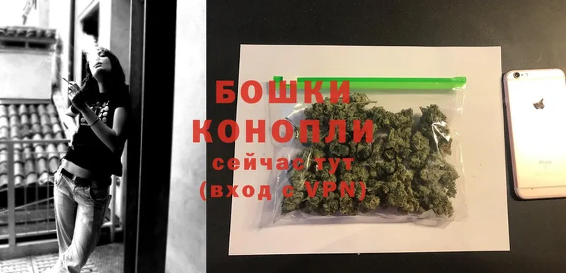 Канабис OG Kush  Островной 